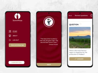 Sommninja - Plateforme révisions pour oenologues - Image de marque & branding