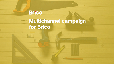 BRICO - Multichannel campaign - Digital Strategy