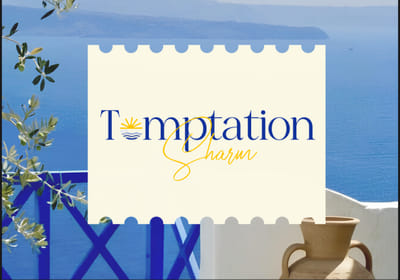 Temptation marketing campaign - Mediaplanung