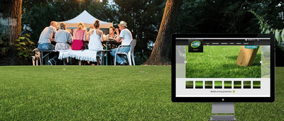 SEO CASE STUDIE:NAMGRASS.BE - Référencement naturel