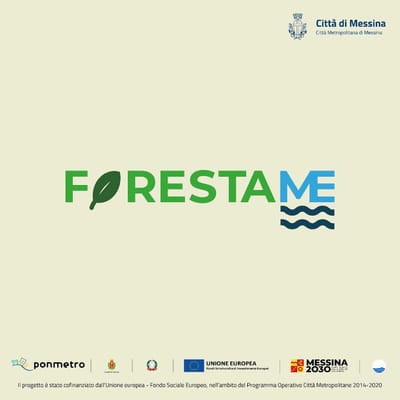 Talia X ForestaMe - Event