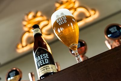Meer merkbekendheid & een performante website voor Brouwerij Haeseveld - Référencement naturel