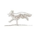 Carter Anderson Creative