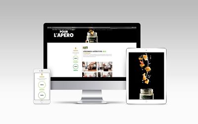 Site web - Picotti - Website Creatie