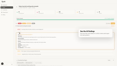 Synli — AI-assisted web accessibility platform - Web Application