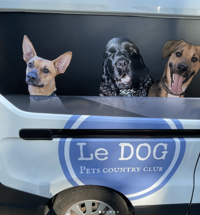Le DOG - Graphic Design