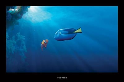 CLOWN FISH - Publicidad