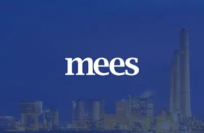 MEES - Web Design, Development & Digital Marketing - Ergonomie (UX/UI)