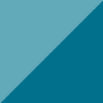 MSP Medien-Service und Promotion GmbH