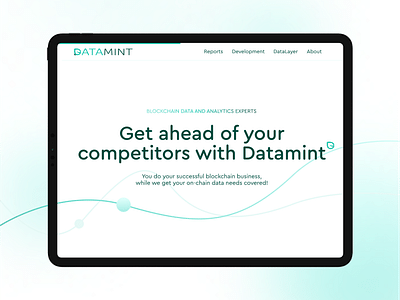 Website design for Datamint - Ergonomie (UX/UI)