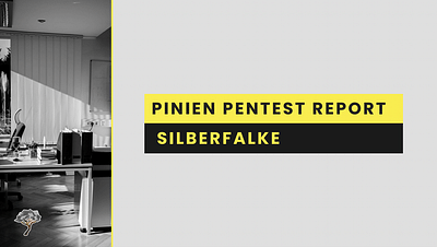 Cybersicherheit und Pentest für "Silberfalke" - Cybersecurity