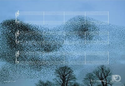 FLOCK - Advertising