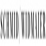 S.W Design logo