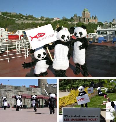 Operation Panda - Publicité