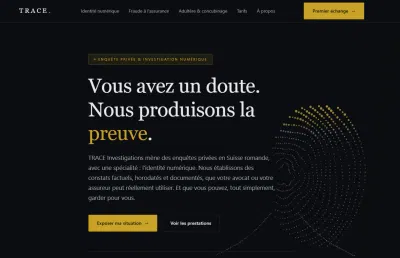 Trace Investigations - Website Creation