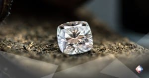 Social Media Management luxury brand - Réseaux sociaux