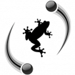 Quantenfrosch logo