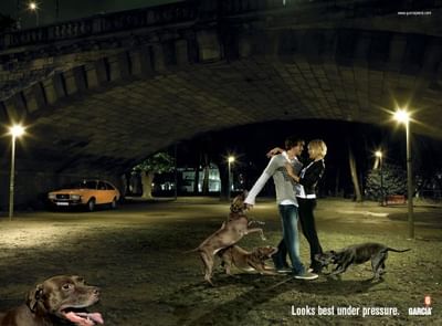 Dogs - Pubblicità
