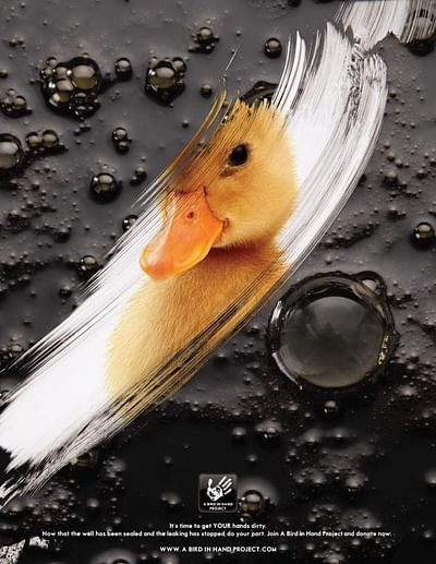Duck - Publicidad