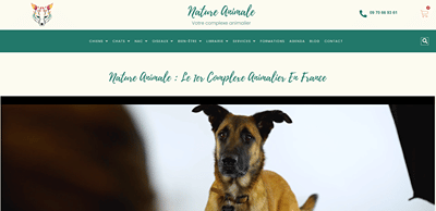 Refonte totale site vitrine + boutique en ligne - Création de site internet