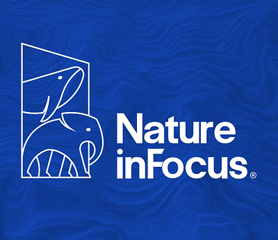 Rebranding of Nature inFocus - Branding y posicionamiento de marca