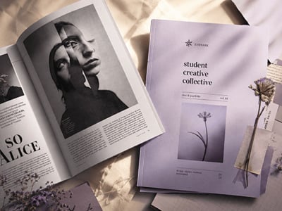 Social Vibgyor: magazine website - Création de site internet