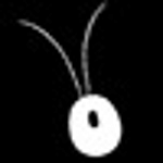 Bugbox
