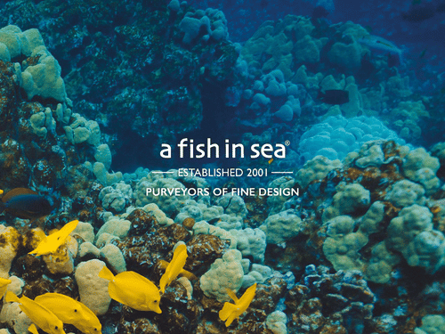 a fish in sea® cover