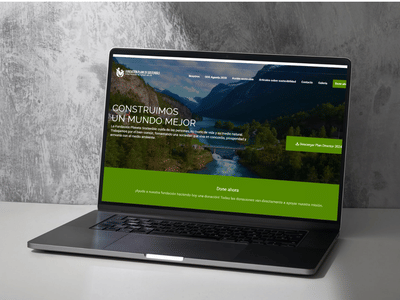 Fundación Planeta Sostenible - SEO y Branding. - Marketing