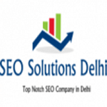 SEO Solutions Delhi logo