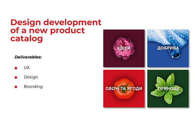 Design development of a new product catalog - Publicité
