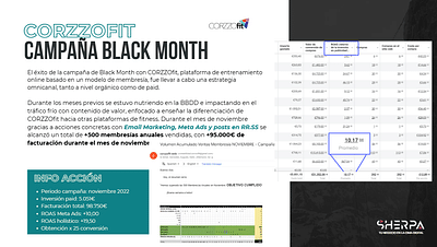 Estrategia Digital para Campaña Black Month - Publicidad Online