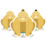 SumoCoders logo