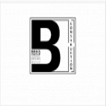 BRIKS Design-Build Group