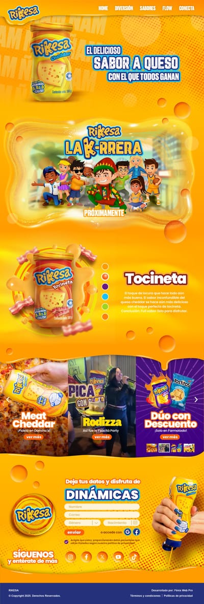 Website Rikesa - Creación de Sitios Web