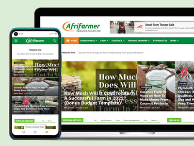 Brand identity and website redesign - Afrifarmer - Création de site internet