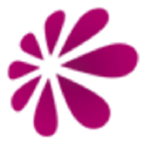 Qualiweb Web- & Graphic Design