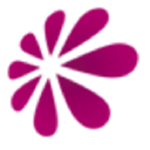 Qualiweb Web- & Graphic Design