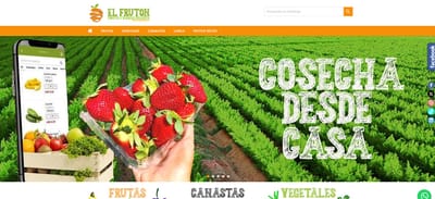 Diseño WEB y Técnica SEO - E-commerce