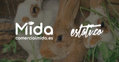 Un +30,5% en ventas. En 10 meses - E-commerce