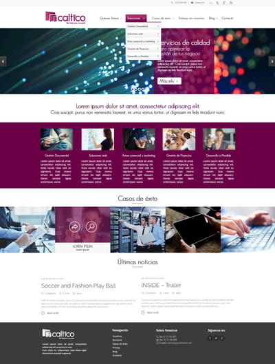 Caltico Consulting - Creación de Sitios Web