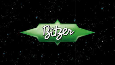 Bitzer: Media Print und Digital - Mediaplanung
