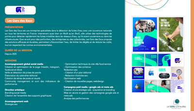 Social media - Publicité en ligne - SEO/ SEA  _ Les Gars des Eaux - Stratégie de contenu