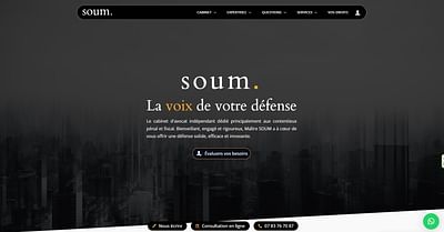 Création site vitrine Wordpress - Website Creation