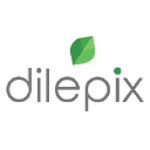 Dilepix logo
