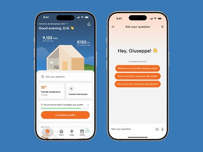 Energy and housing app for Dutch households - Usabilidad (UX/UI)