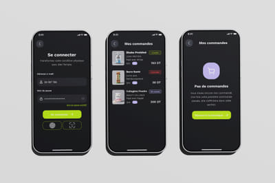 diet temple - Ergonomie (UX / UI)