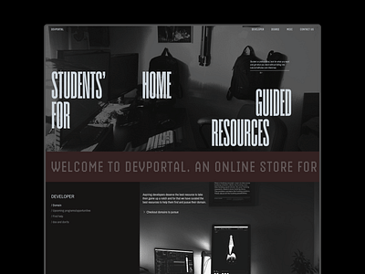 DevPortal [1 -> X] - Graphic Design