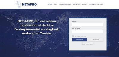 Site Sur Mesure : NetAfro - Création de site internet