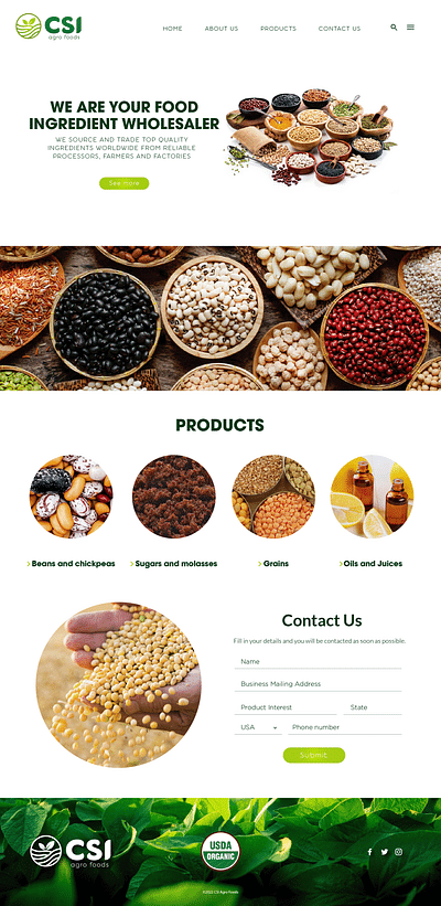 🇺🇸 Diseño y programación website CSI Agro Foods - Publicité